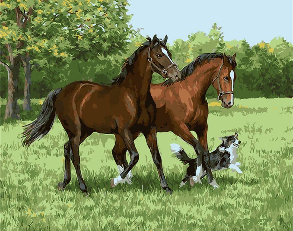 ABEUTY DIY Paint by Numbers for Adults, Horse Dog Grassland 16x20 inches Number Painting Art Therapy (Horses, No Frame)