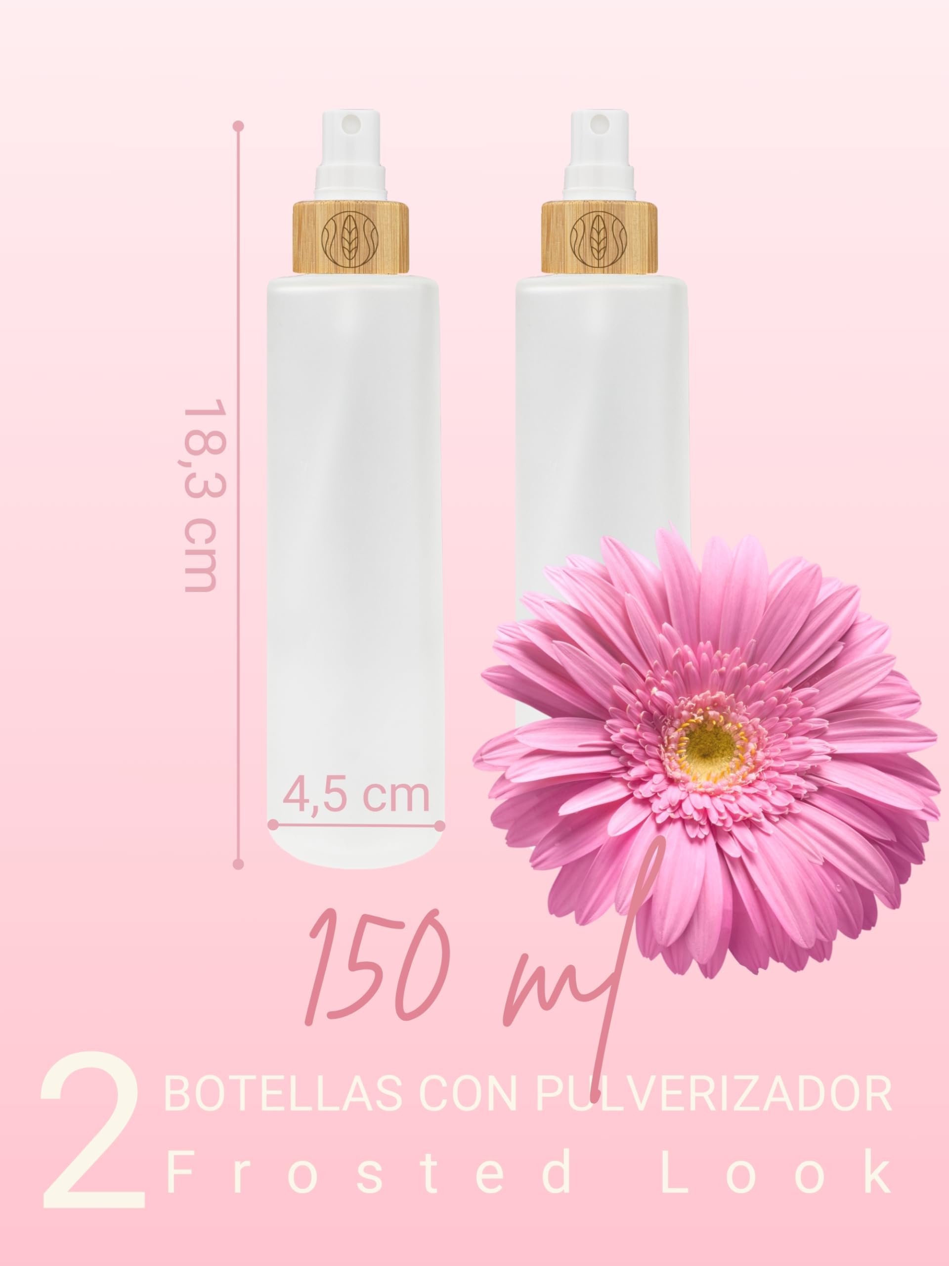 Wachsmann | Tarro de cristal de alta calidad con tapa de bambú | Para la cosmética natural sostenible DIY | Con embalaje de regalo | Recipiente de viaje para ungüentos y lociones