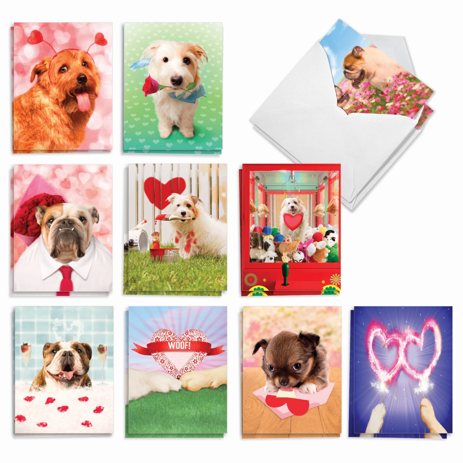 Best Card Co 20 Puppy Love Bulk Notecards w/Envelopes AM3188OCB-B2x10