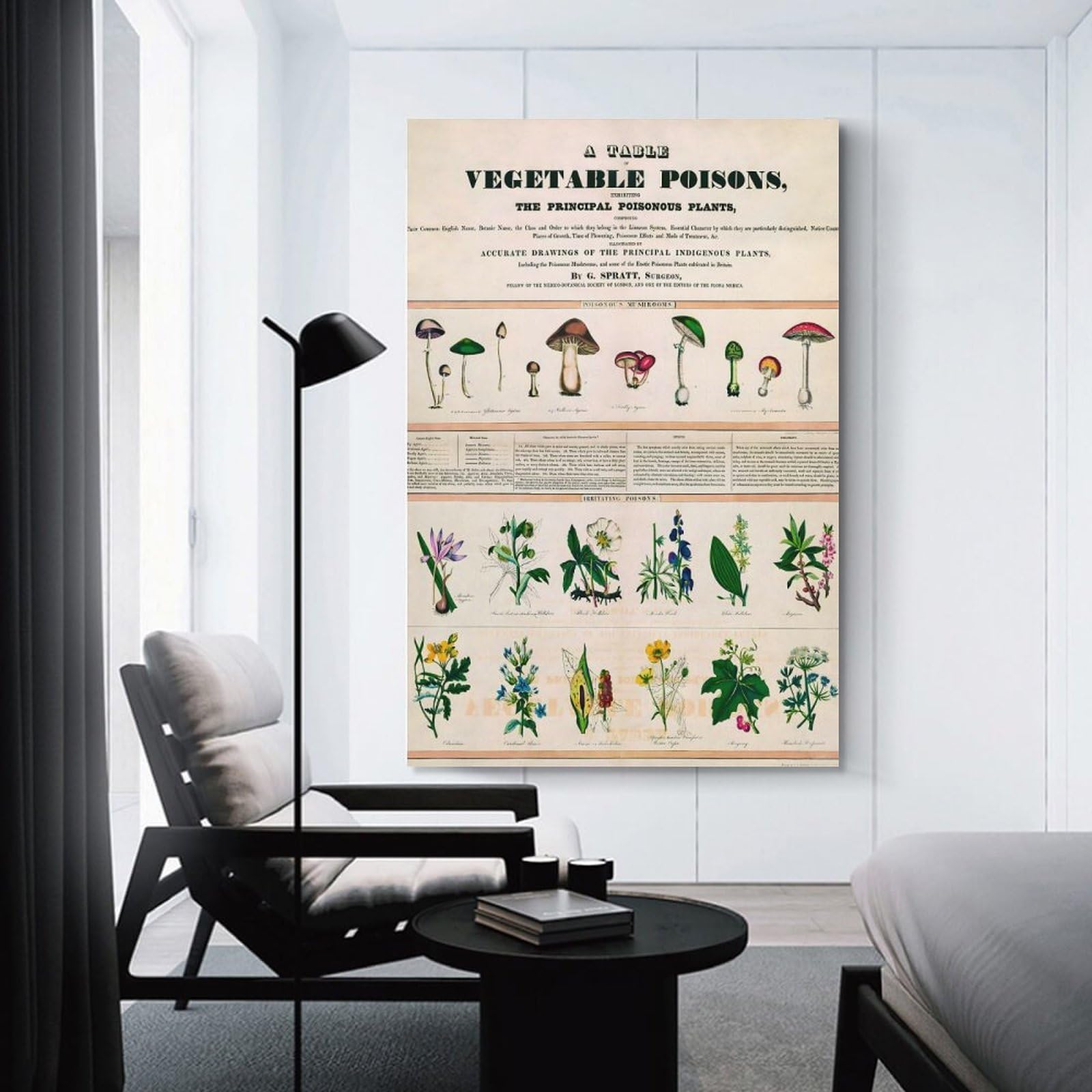 Junmoney Botanical School Canvas Art Print 08x12inch(20x30cm), for Front Hall, Corridor Or Welcome Spaces, Home Artwork for First Impressions