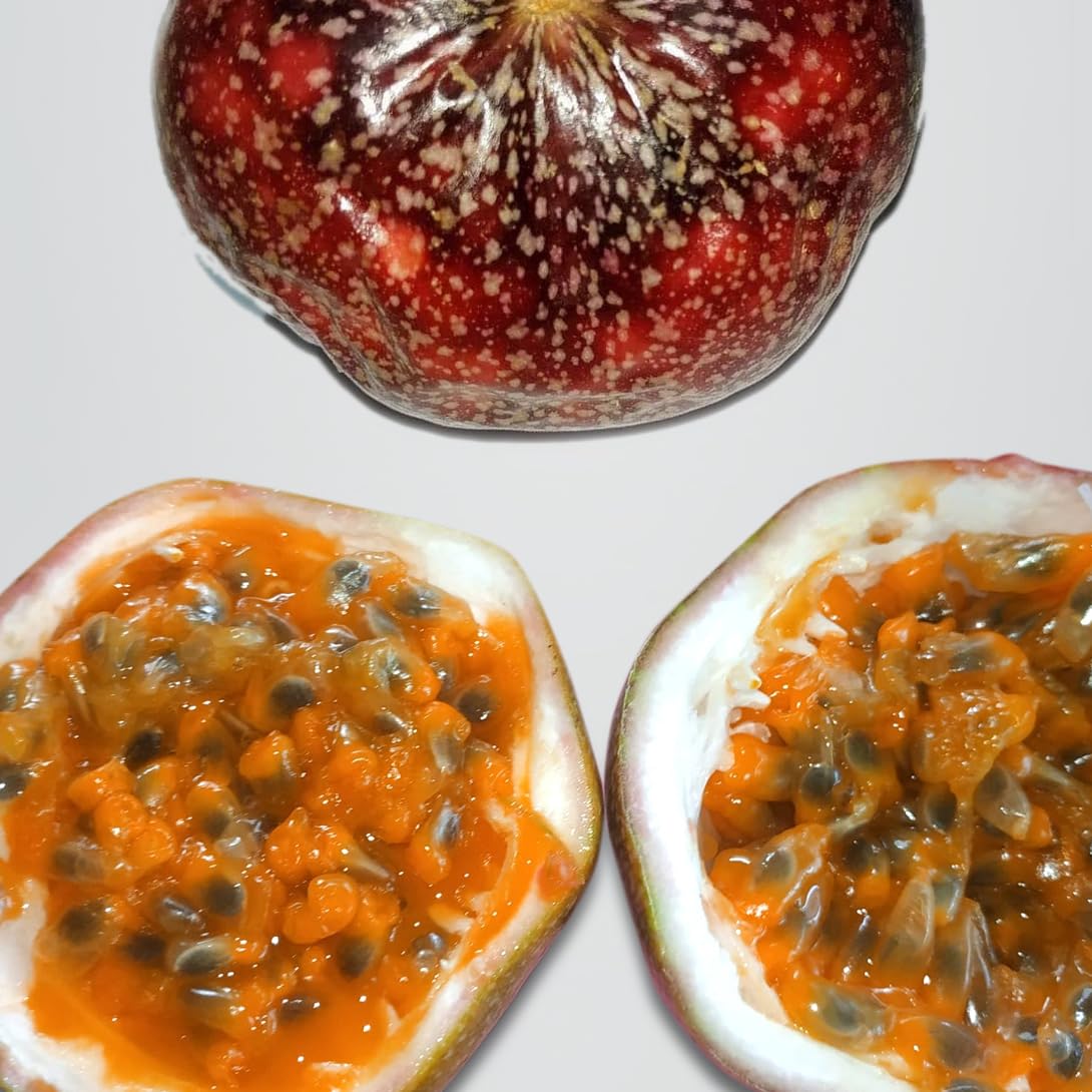 See full amazon price history chart for Veliyath Garden Sweet Passion Fruit M571 Plant (Passiflora edulis) Veliyath Garden Sweet Passion Fruit M571 Plant (Passiflora edulis) (B0CPVLYXBC) Amazon Price History, Amazon Price Tracker