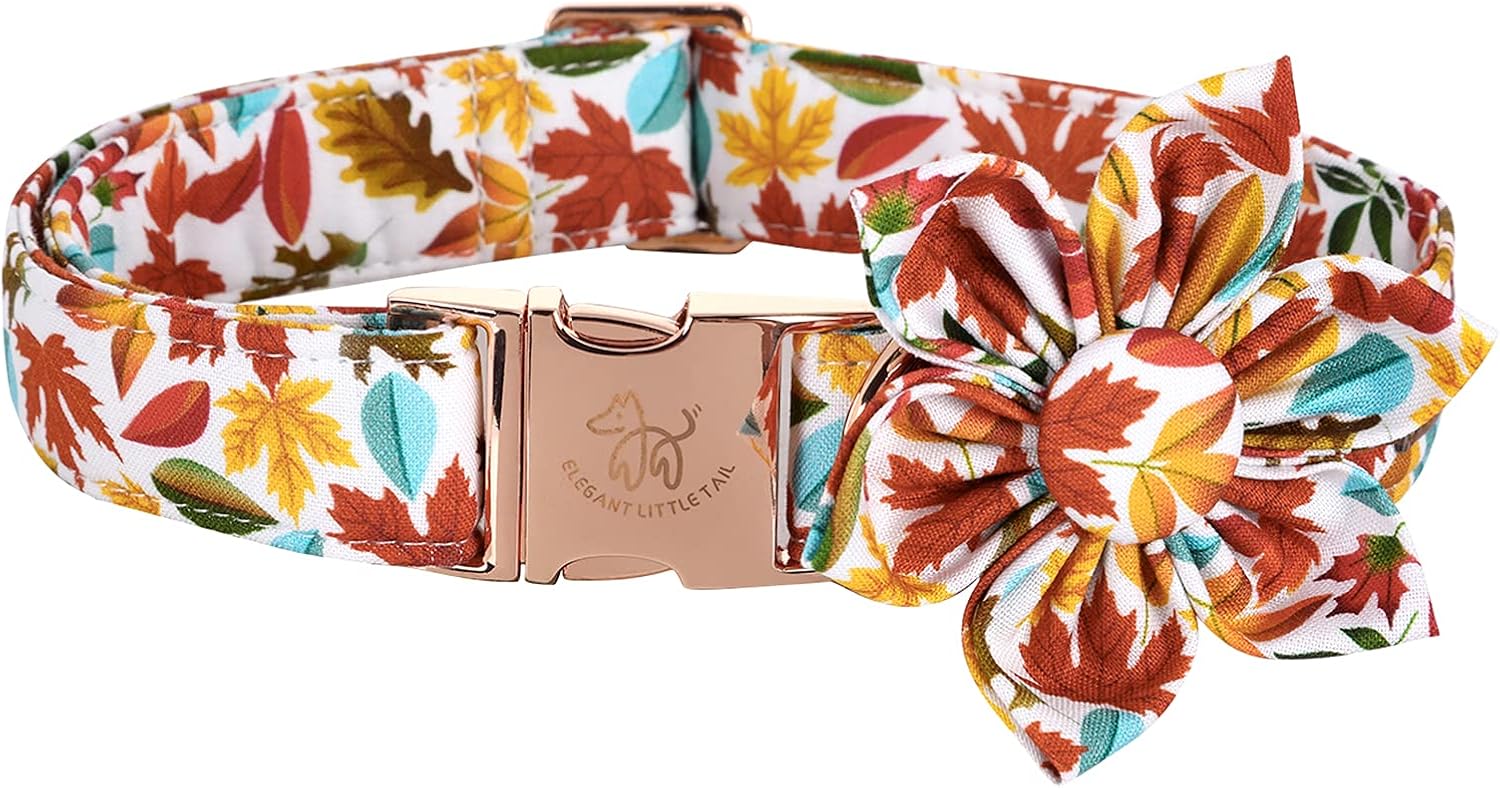 Elegant little tail Flower Dog Collar for Female or Male