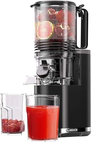 Exprimidor de prensa en frío, máquina exprimidora de canal de alimentación extra grande de 6.5 pulgadas, máquinas exprimidoras de masticación lenta