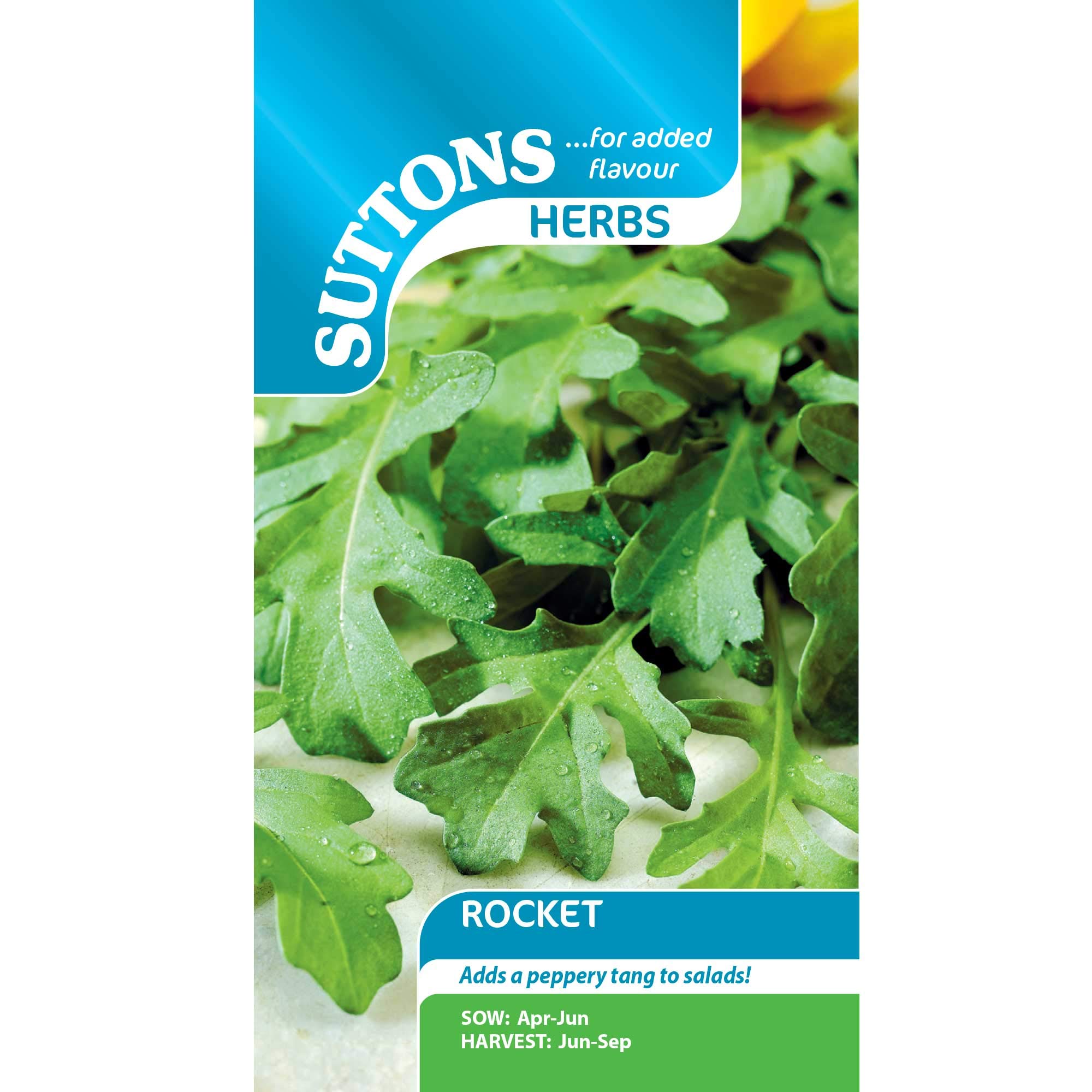 Suttons Rocket Seeds Vegetable Seeds, Approx. 350 Seeds per Pack, Grow Your own Salad Rocket Plants from Seed, Ideal for Containers, Beds and Borders, Greenhouses