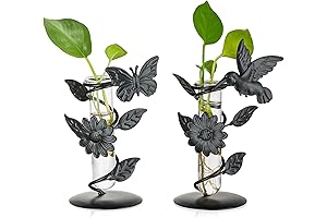 Glasseam Plant Propagation Tubes Stations: Your Test Tube Vase for a Greener Home