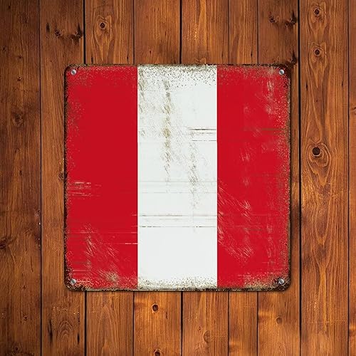 Vista 115 de Letrero de metal con bandera de país internacional, bandera de Polonia, regalo de bandera de Polonia, letreros de aluminio envejecidos