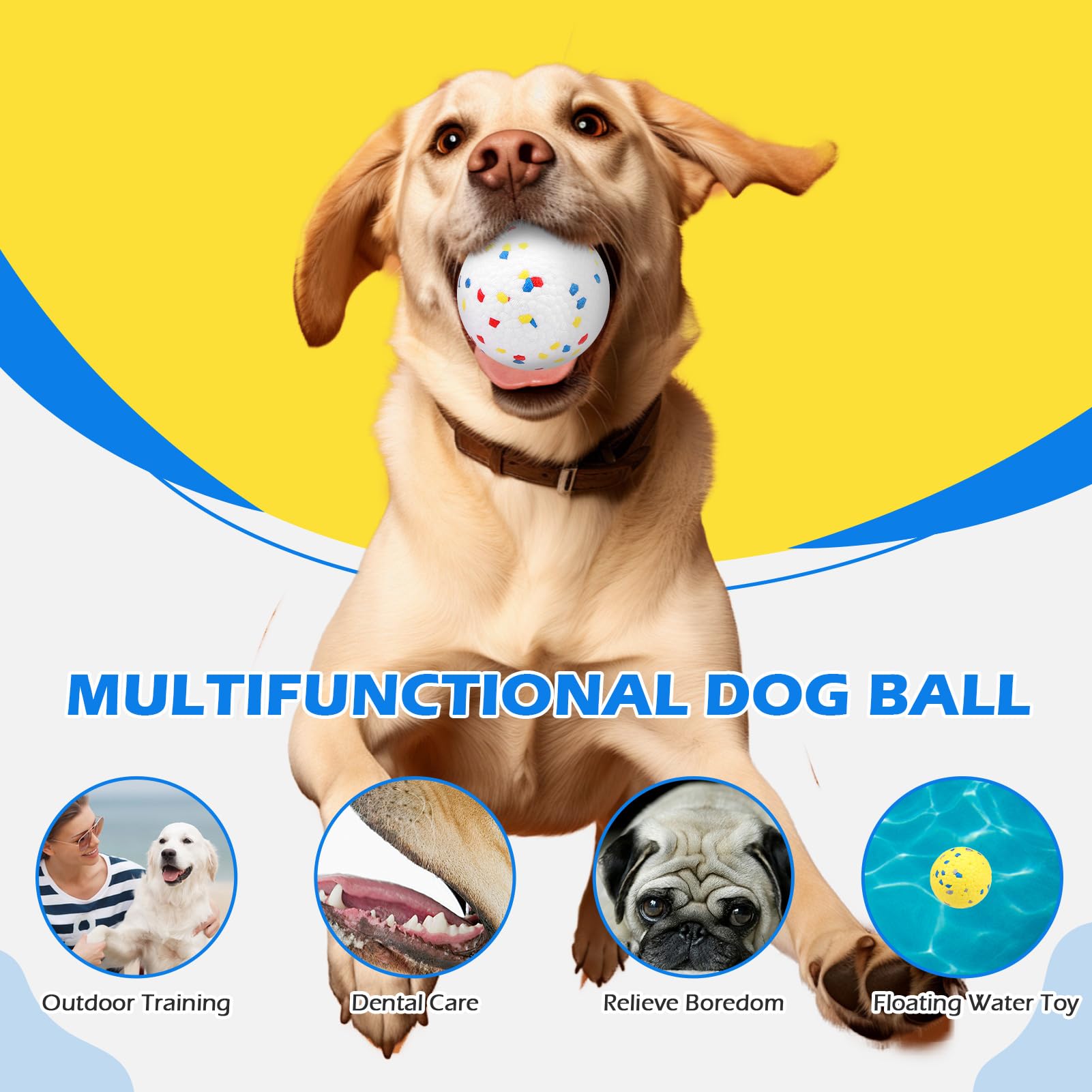 EXPAWLORER 12 Quietschbälle Für Hunde – Interaktiv & Ideal Fürs Apportieren