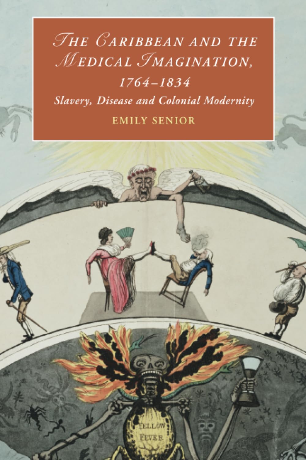 The Caribbean and the Medical Imagination, 1764–1834: Slavery, Disease and Colonial Modernity: 119 (Cambridge Studies in Romanticism, Series Number 119)