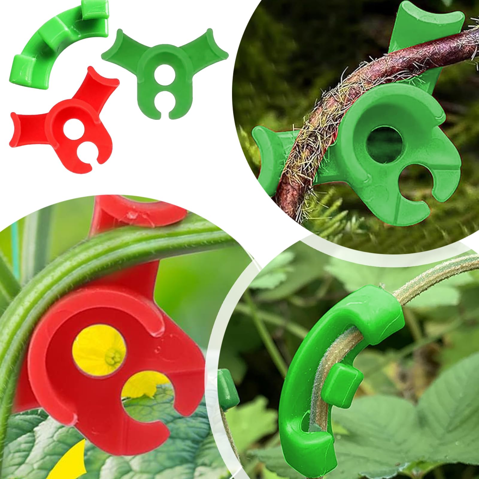 Lot De 50 Pinces à Cintrer Les Plantes à 90 Degrés Pour Plier Les Troncs Des Plantes Et Changer La Direction De La Croissance Rouge Vert 87925596