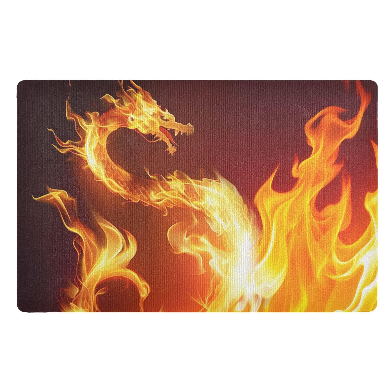 Paillasson d'intérieur lavable 50x80 cm tapis d'entrée antidérapant dragon