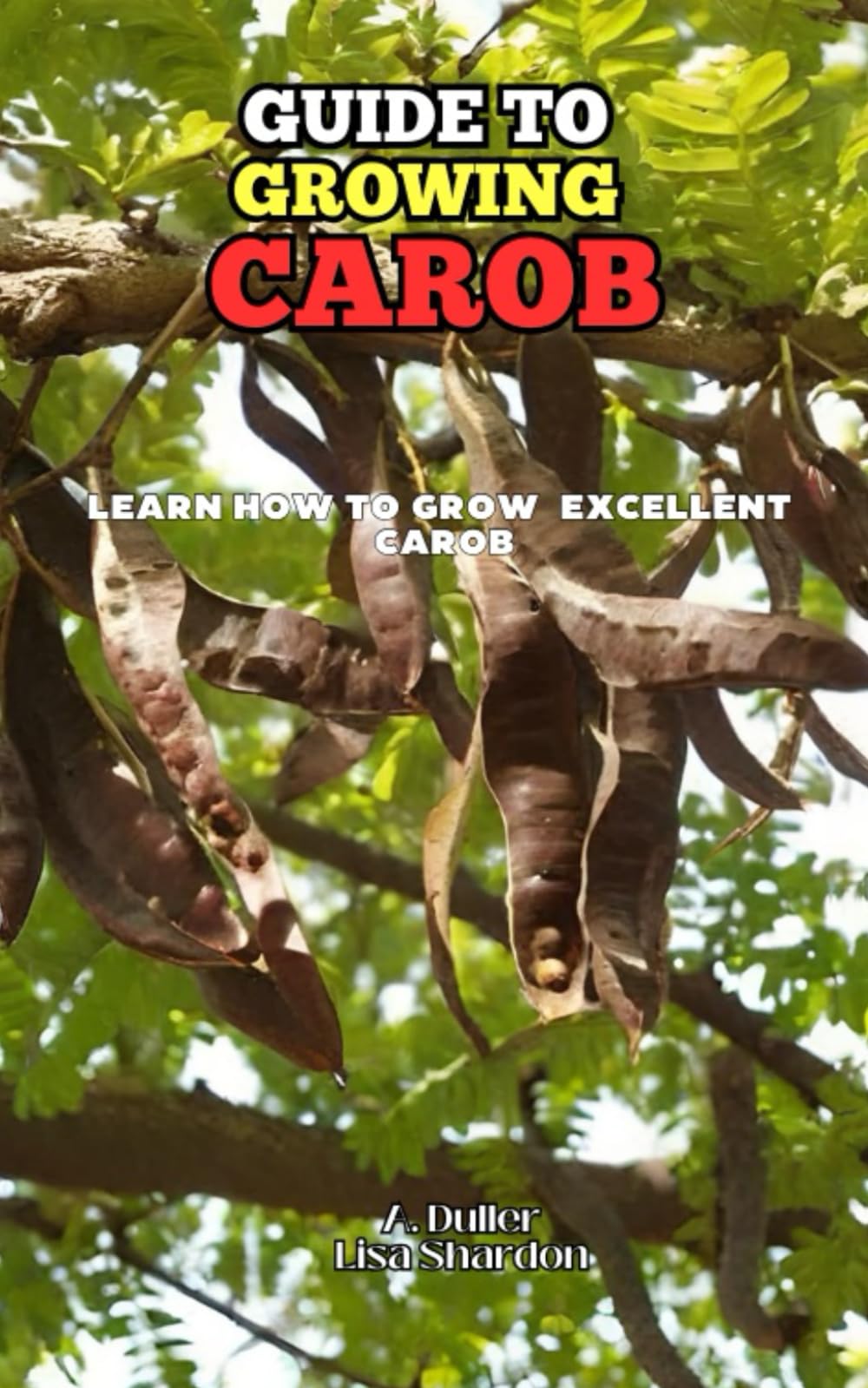 Guide to Growing Carob: Learn how to grow excellent Carob
