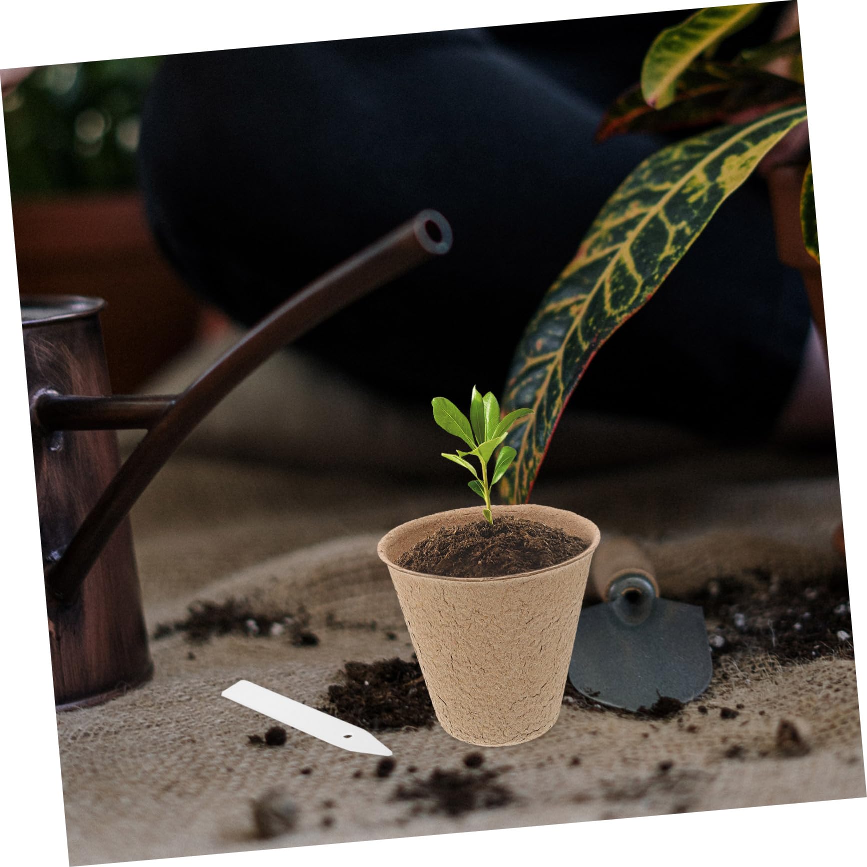 Vasi da Vivaio in Polpa di Torba Biodegradabili 110 Pezzi Etichette per Germinazione e Trapianto, Kit per Giardinaggio Domestico e Coltivazione in Vaso Ecologico