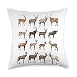 Types of Antelopes – Antelope Species Chart Science Lovers Throw Pillow