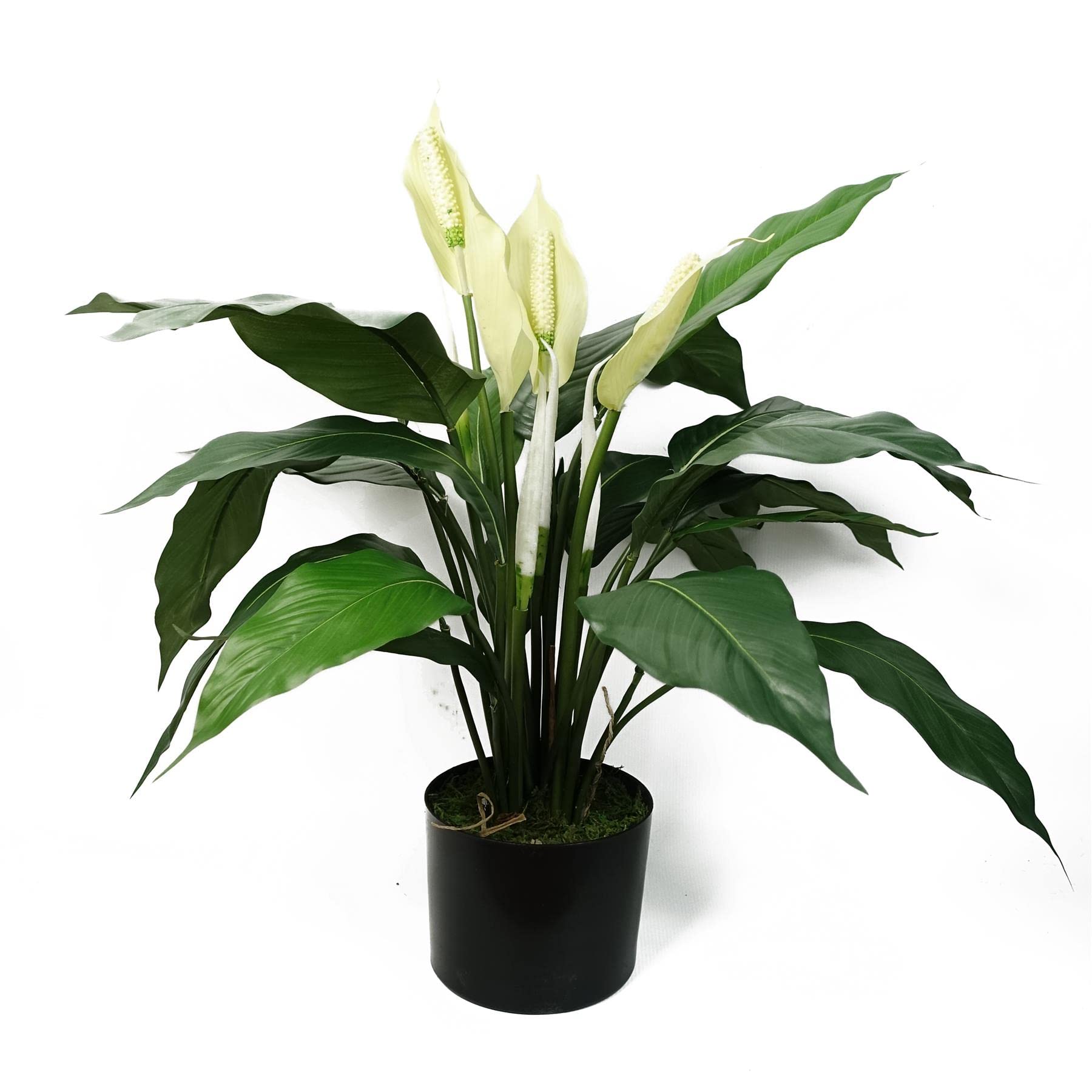 Leaf Artificial Peace Lily - White - 60cm