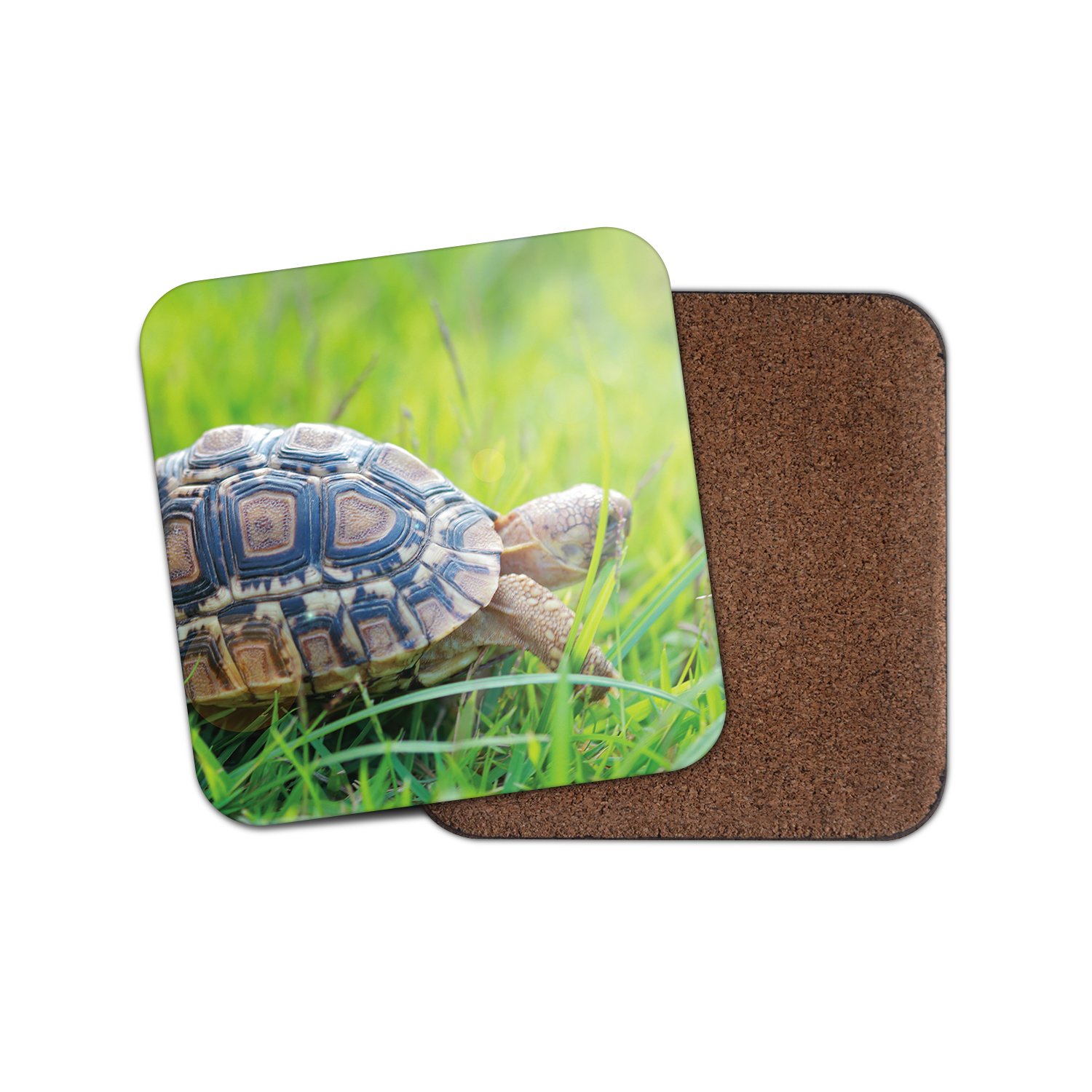 Destinationvinyl Multicolor 1 X Cute Turtle Cork Backed Drinks Coaster - Terrapin Tortoise Reptilia #8290