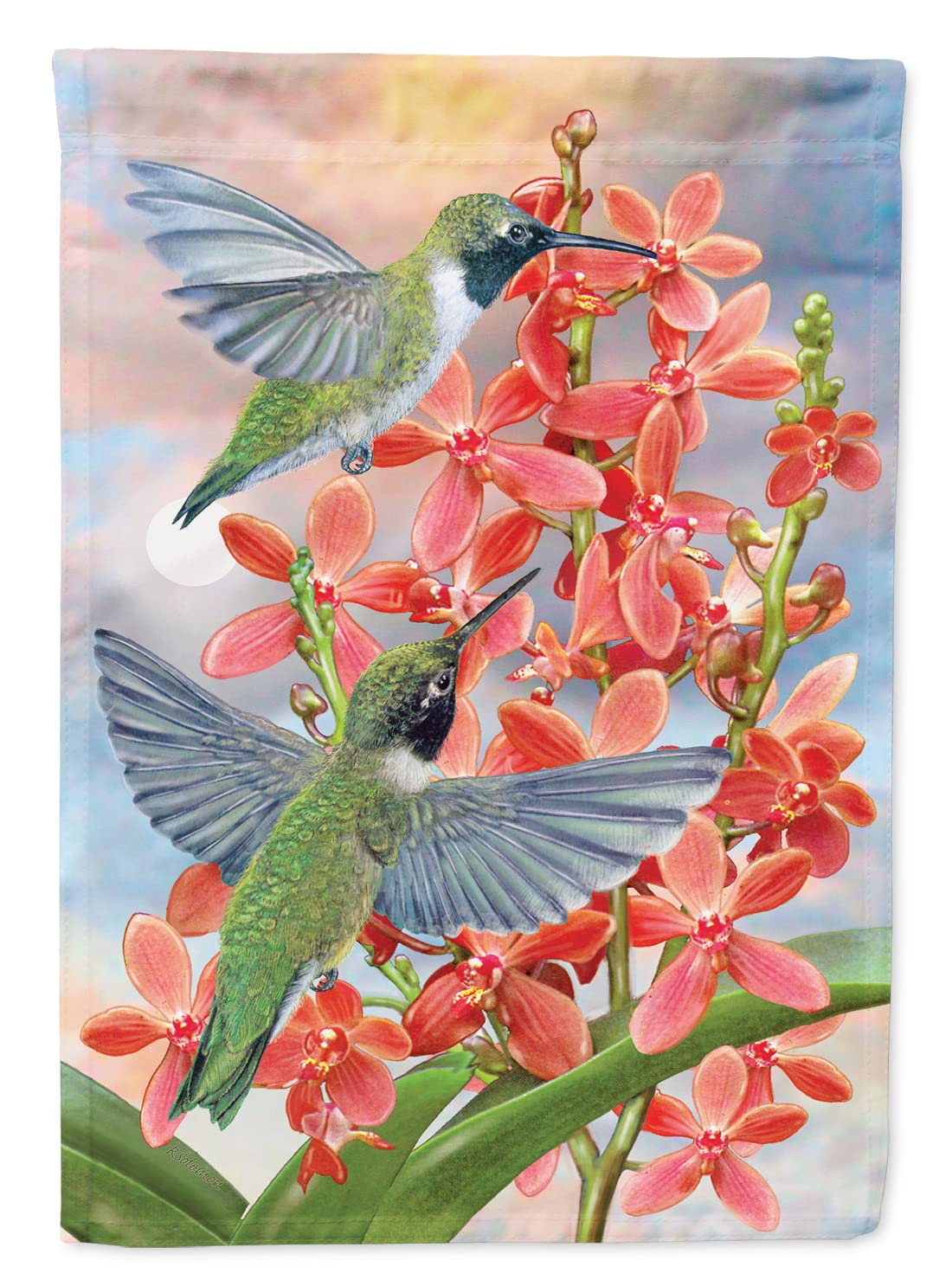 Drapeau colibri chinois noir Caroline's Treasures L pour décoration extérieure