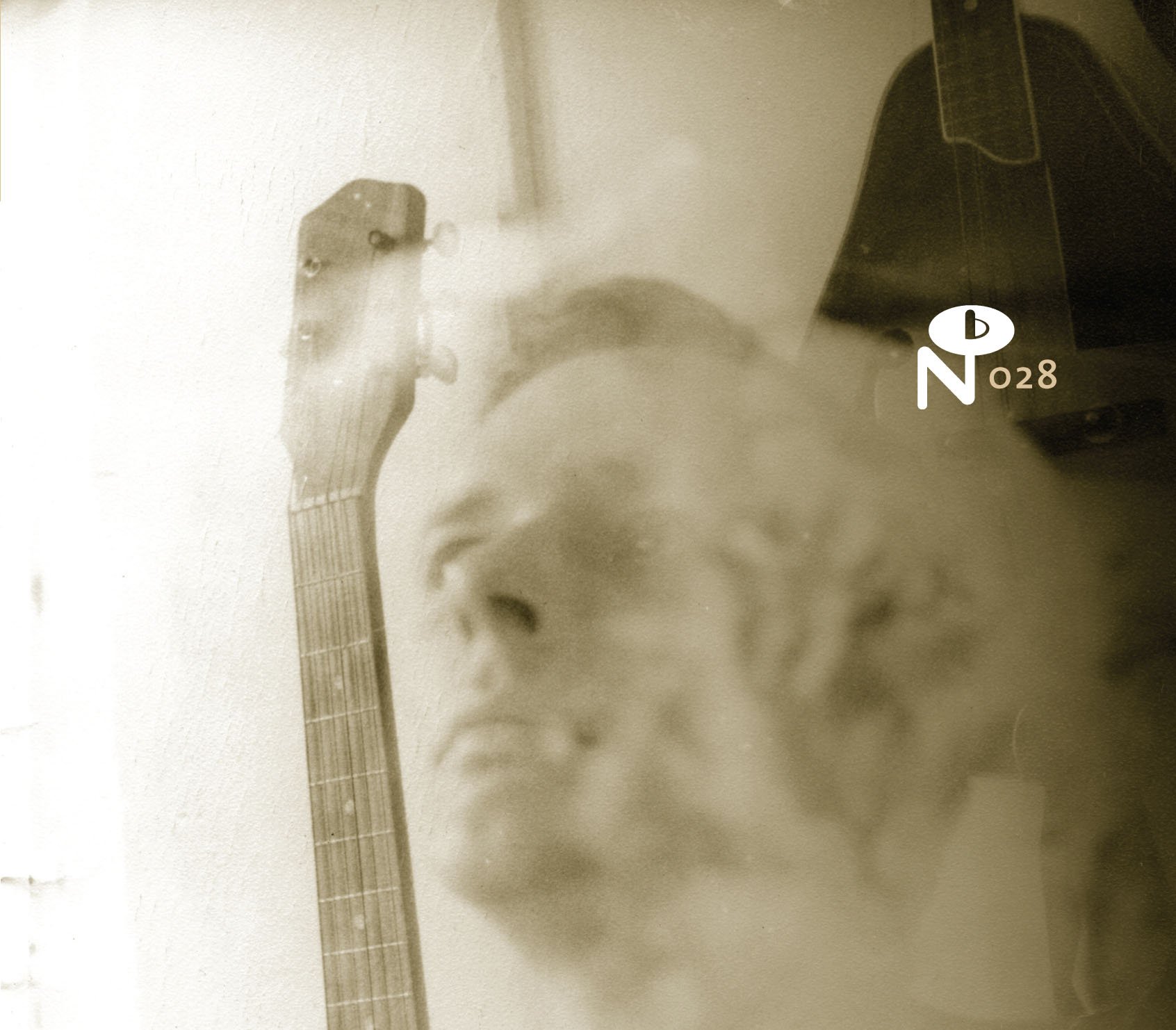 Wayfaring Strangers: Lonesome Heroes [VINYL]