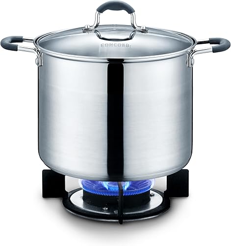CONCORD Olla de acero inoxidable con tapa de vidrio (compatible con inducción) ((10 QT)