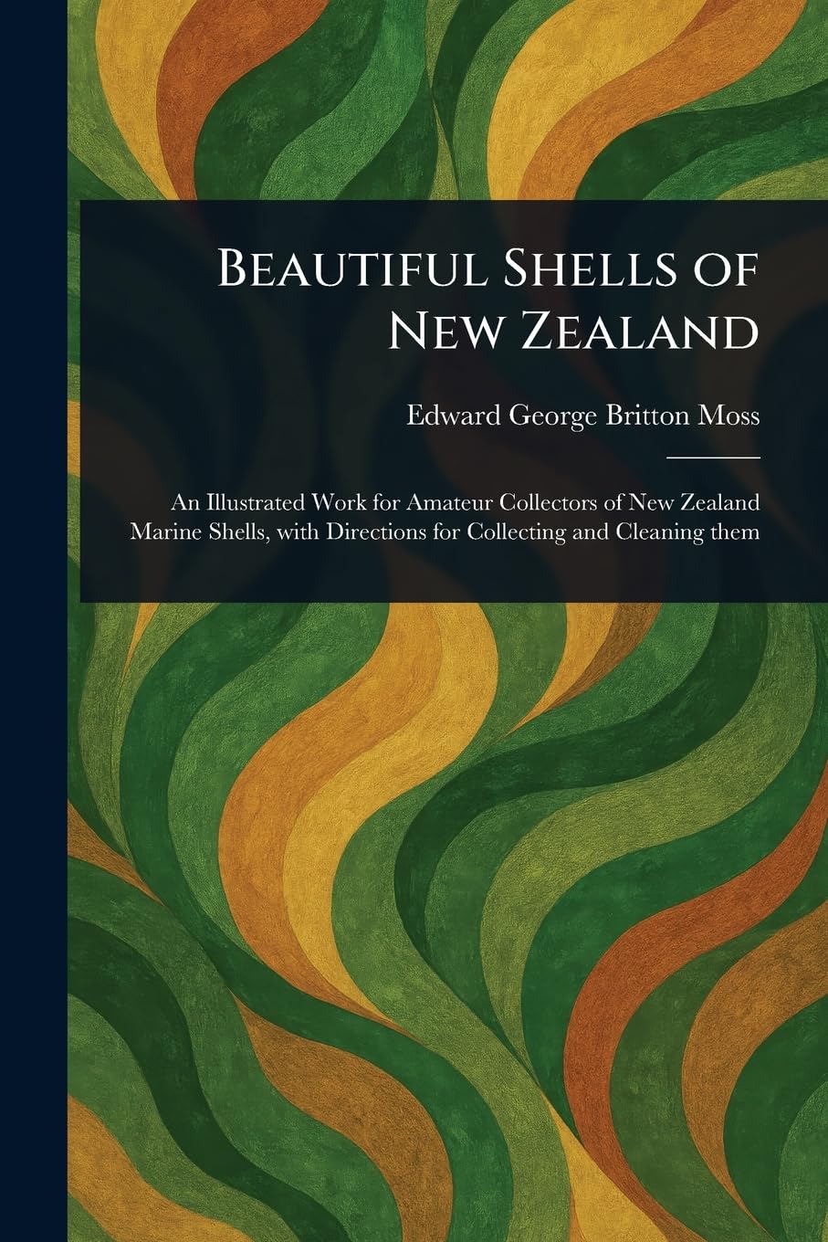 Beautiful Shells of New Zealand