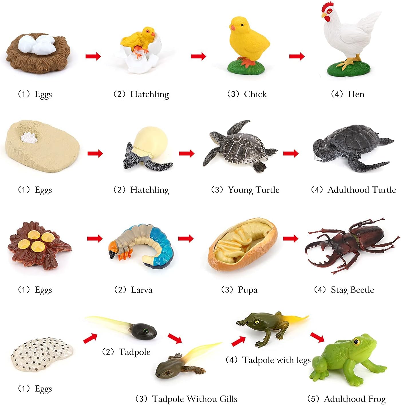 Volnau Animal Figurines Toys 17PCS Life Cycle Figure Set for Toddlers Kids Sea Turtle Frog Chicken Decorations Preschool Educational Prop - view 2