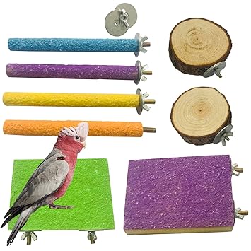 ZYYRT Parrot Perch Stand?8PCS Wooden Bird Paw Grinding Stick Perch Stand Platform?Parakeet Cage Accessories Exercise Toy for Budgies Conure Cockatiel