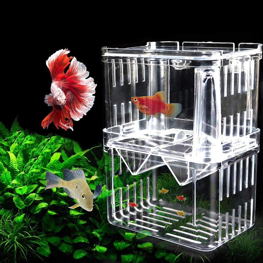 Image result for Baby Aquarium Double Layer Aquarium Isolation Box - Fish Breeding ...