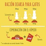 Ver la foto 5