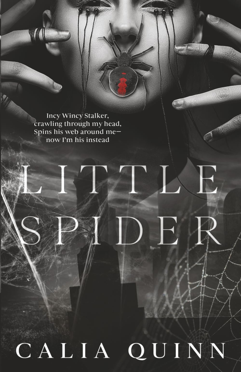 Little Spider: A Dark Psychological Stalker Romance: 1 (Little Nightmare Duet)