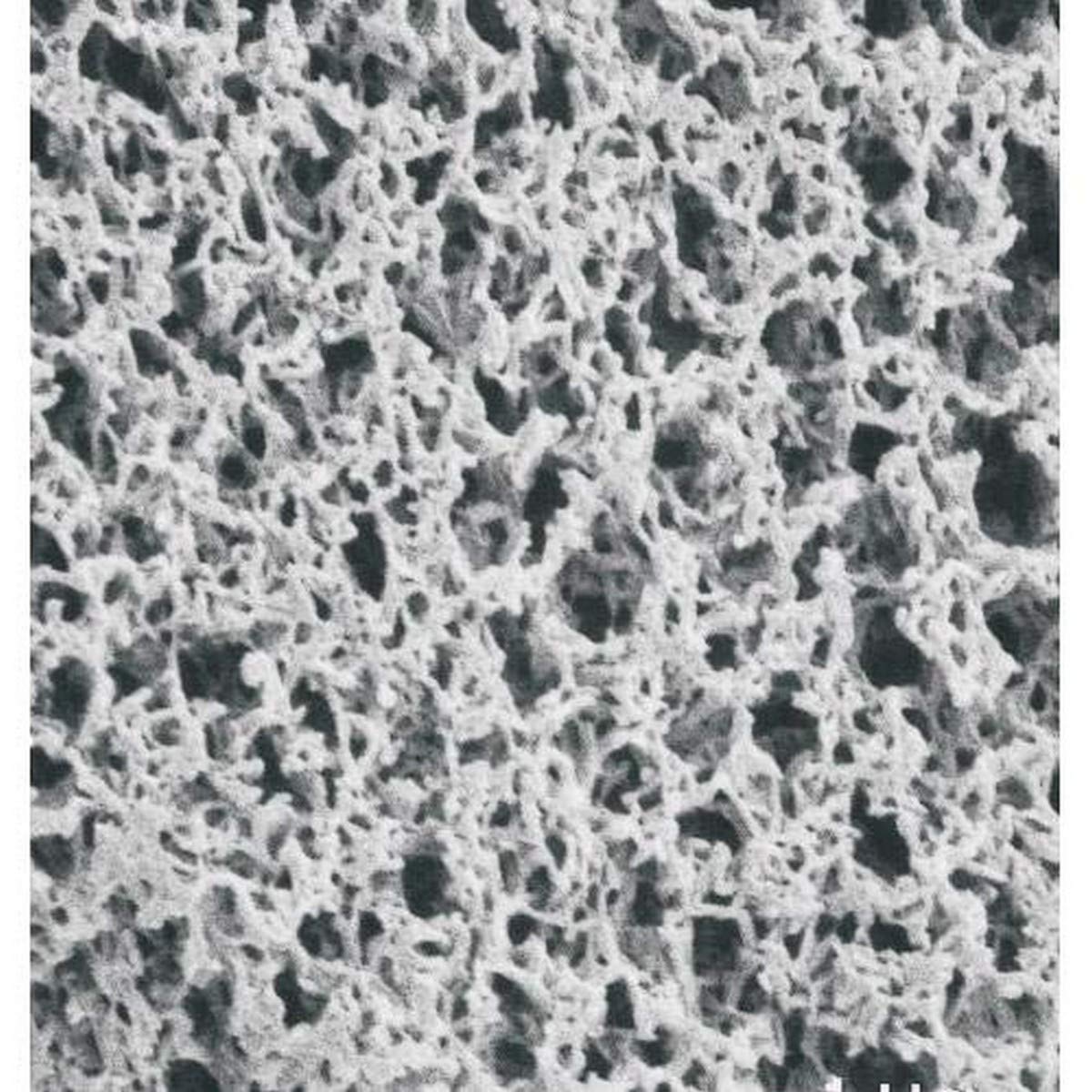 1213813 Nylon Membrane Filters Disks, 5.0 Micron Pore Size, 90mm Diameter (Pack of 25)