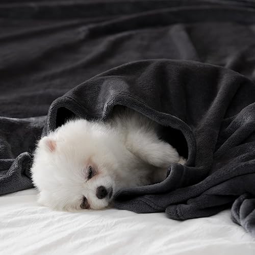 Miniatura 2 de BEAUTEX - Manta de forro polar tamaño Twin, manta de franela súper suave, manta de felpa ligera y esponjosa para sofá, sillón o cama, adecuada para