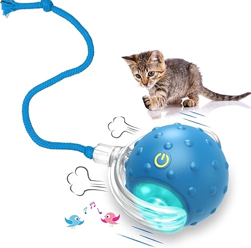 Juguetes interactivos para gatos con movimiento activado y chirrido, rodando súper rápido en la alfombra, juego de fiesta feliz con gatitos, color