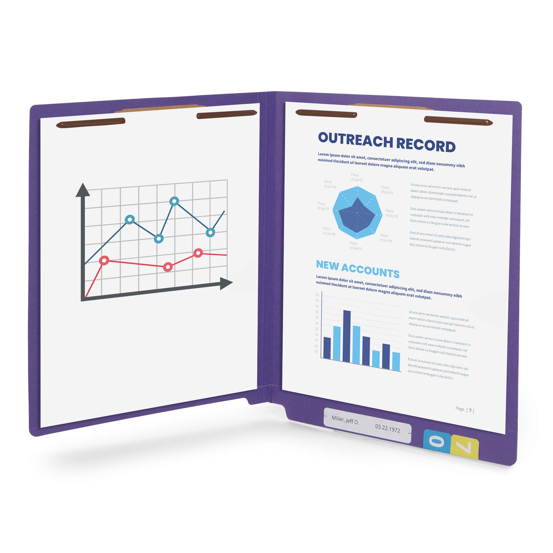 Purple File Folders - Organize Your Documents -2
