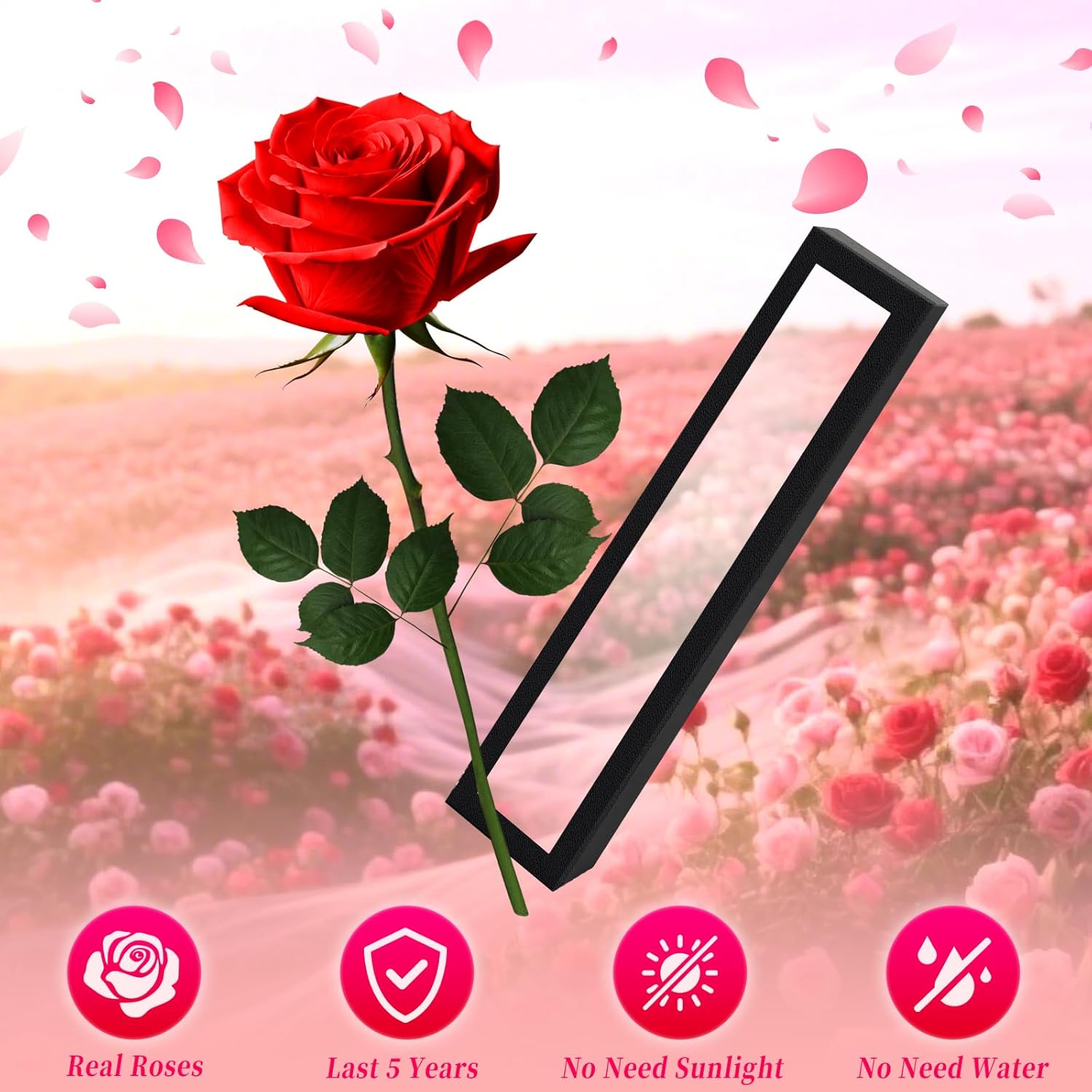 Single Forever Roses in a Box,Preserved Flowers for Delivery,Preserved Rose Gifts for Women, Real Roses Gift for Her, Mom Birthday Gifts, Mothers Day Flowers,Valentines Flowers,Presents for Her,Red - Image 3