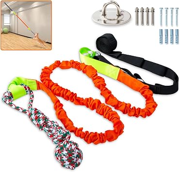 Outdoor Bungee Tug Toy,Dog Toy Hanging from Wall, Interactive Exercise Play Cord & Tether Chew Rope Toy for Large Breed Puppies & Small Dog Adult with Fixed Disk for Wall Orange