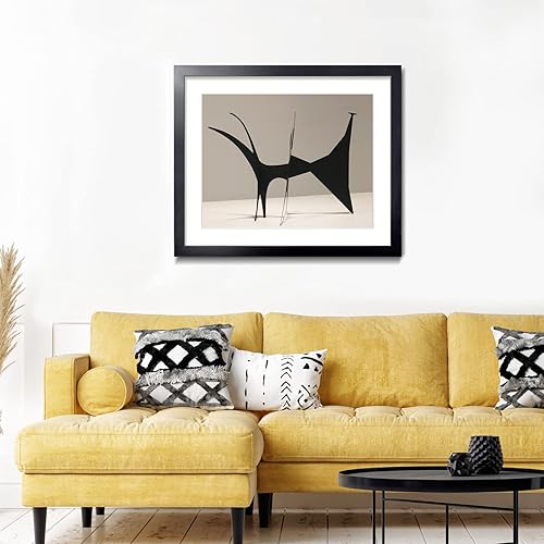 Vista 250 de LaVie Home - Portarretratos de 18 x 24 pulgadas, fotos de 16 x 20 pulgadas con paspartú, de 18 x 24 pulgadas sin paspartú, plexiglás pulido, Negro