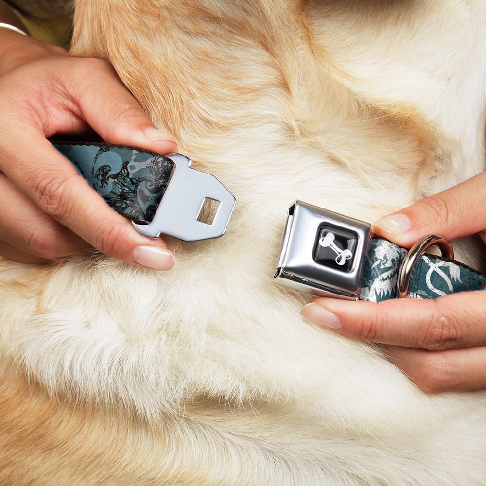 Dog Collar Seatbelt Buckle Gothic 8 11 to 17 Inches 1.0 Inch Wide