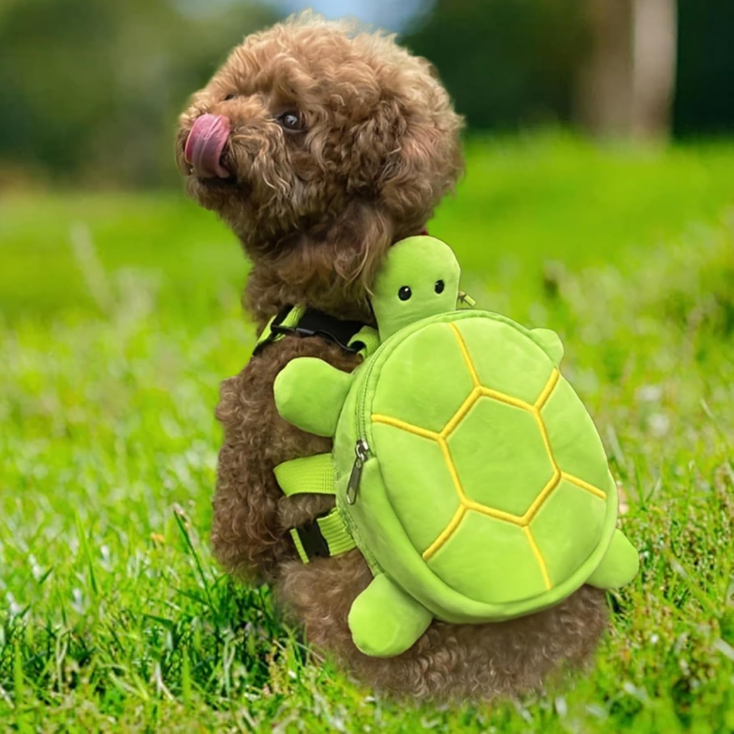 Sac à dos pour chien avec harnais en forme de tortue - Respirant et réglable - Avec fermeture éclair - 20,3 x 17,8 cm - Pour chiens de petite et moyenne taille