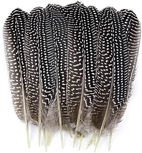 Plumes Naturelles De Pintade 24 Pièces - Sans Cruauté - Noir Et Blanc