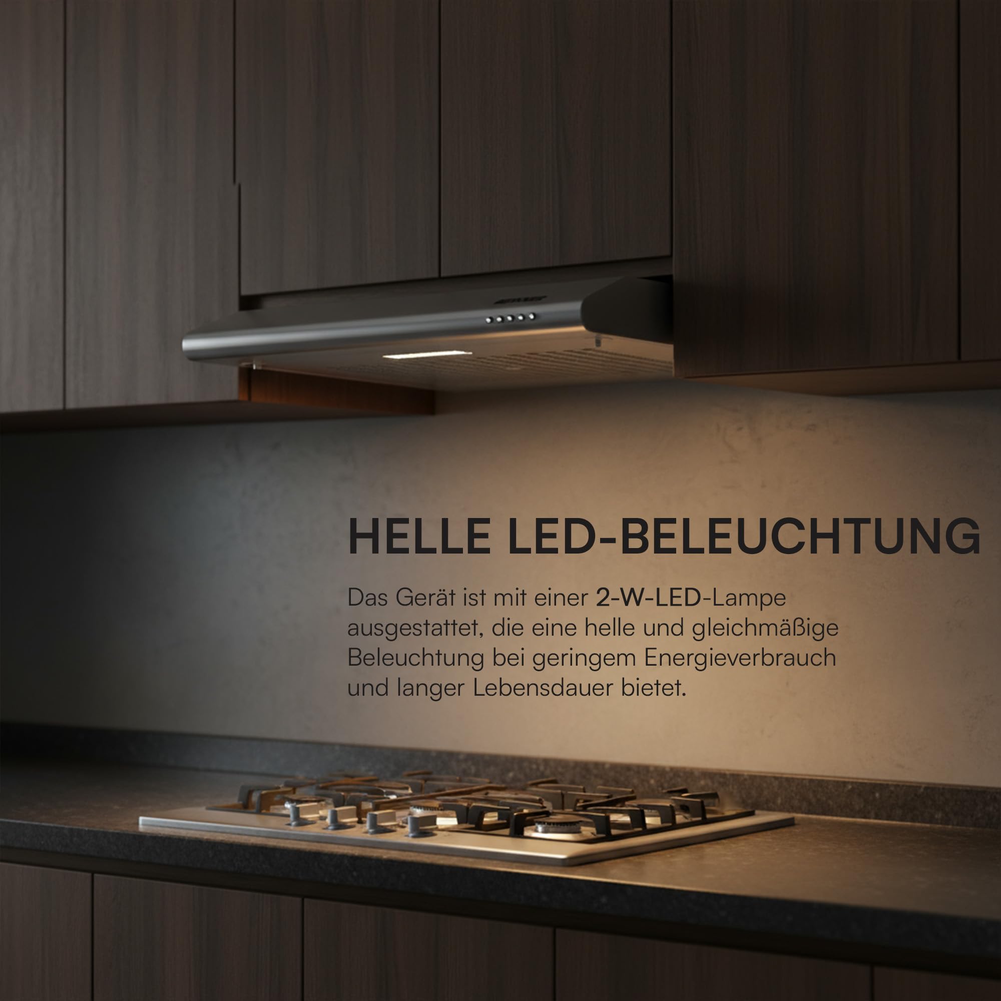 CH-201WH 60cm Edelstahl Unterschrank Dunstabzugshaube - 209,7 m³/h Absaugung, 3-Gang-Steuerung, LED-Licht, Aluminiumfilter, 5 Jahre Garantie (Silber)