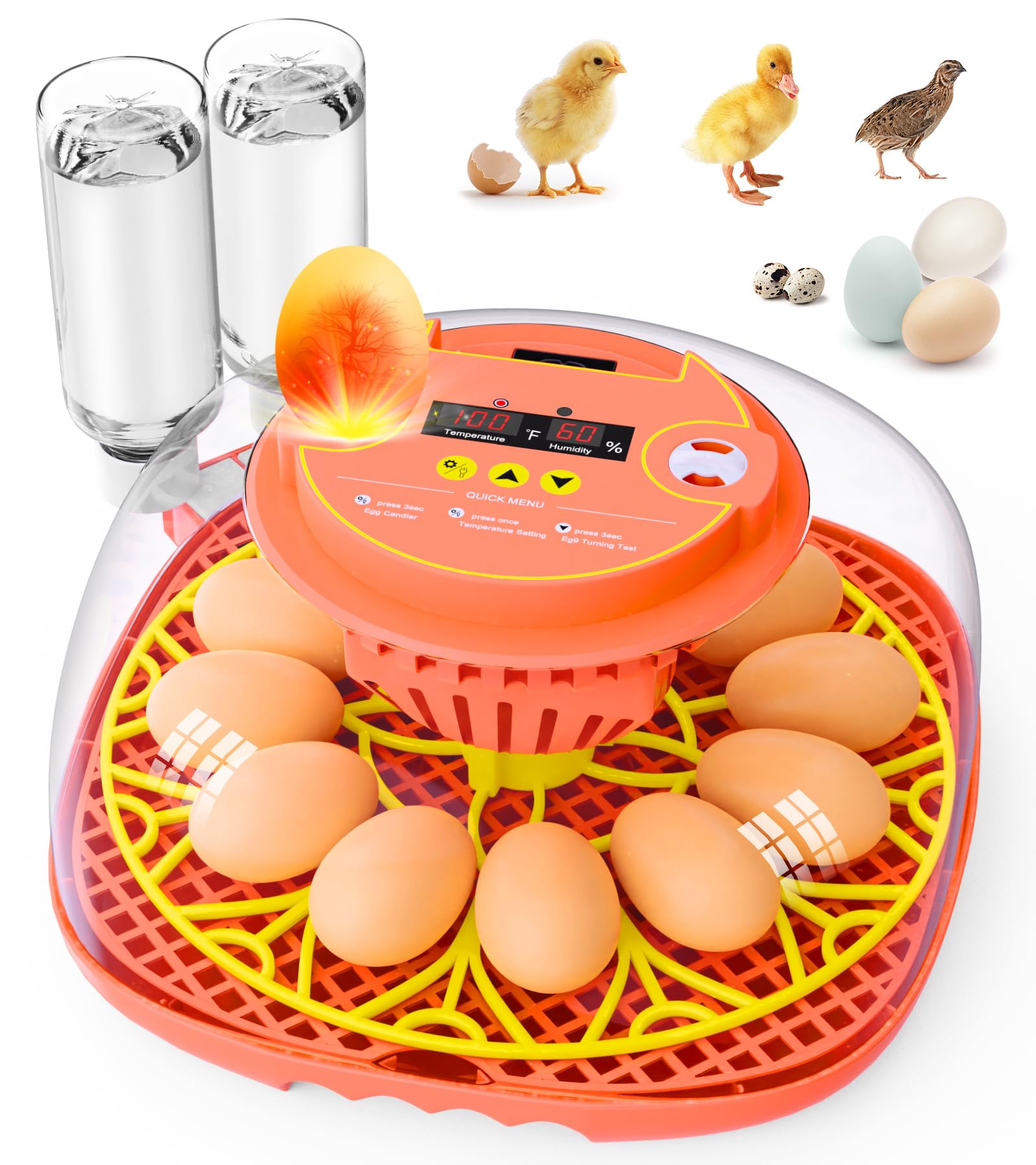 Photo 1 of 12 Egg Incubator for Hatching Eggs, Smart Temperature and Humidity Control, Automatic Egg Turning, Incubator for Hatching Chicken, Quail, Duck Eggs, 360° Clear View for Home, Classroom, Farm