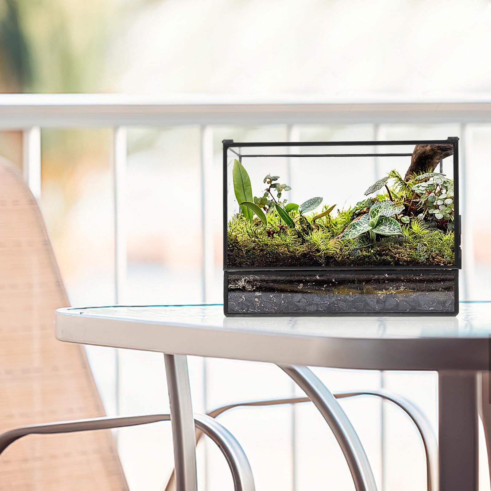 Terrario in Vetro per Piante, Terrarium Moss, Mini Contenitore Geometrico per Muschio e Piante, Trasparente, per DIY e Tavolo da Cucina