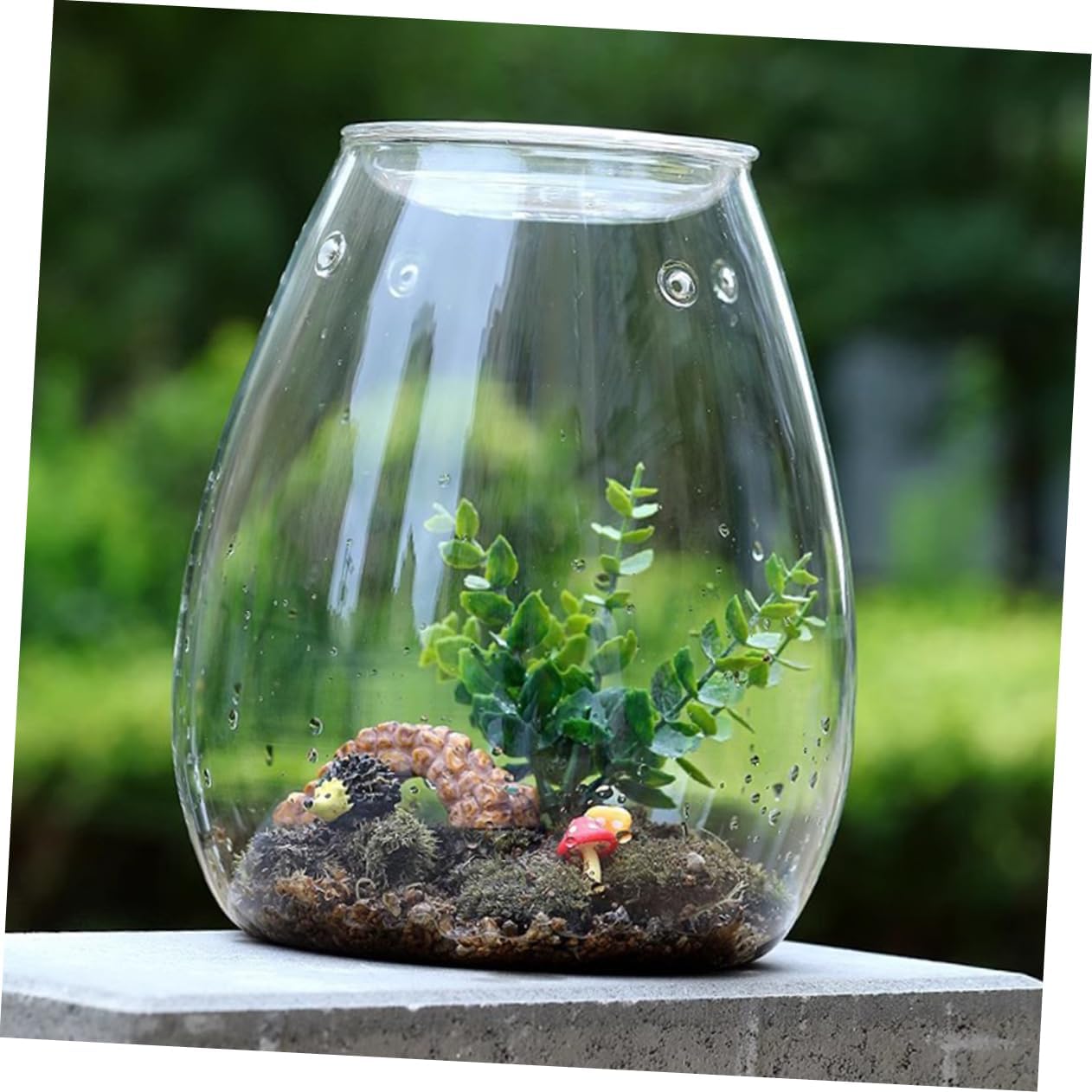 Totority 1pcs Landscape Glass Bottle Terrarium for Moss Plants Decorative Container for Home and Tabletop Decor Design