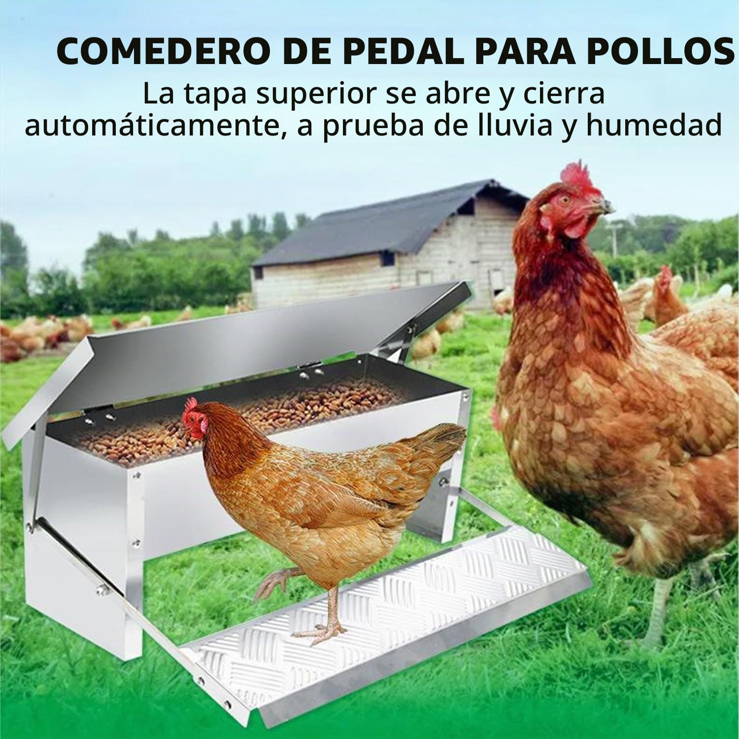 Comedero automático para pollos y gallinas, 5 kg, con pedal automático y manta resistente al agua, apertura automática