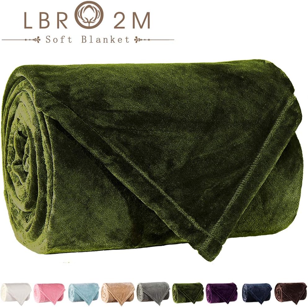 LBRO2M Fleece Bed Blanket King Size Super Soft Warm Fuzzy Velvet Plush Throw Lightweight Cozy Couch Blankets (65x90 Inch) Green
