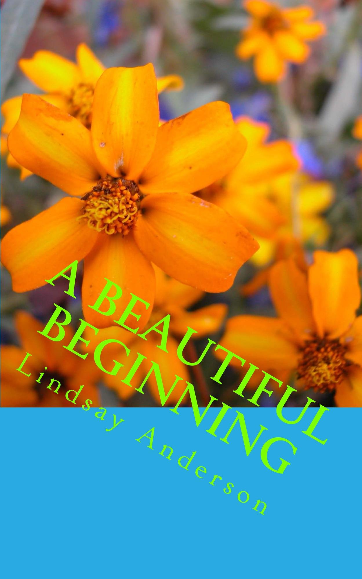 A Beautiful Beginning (The Recovery Files Book 6)