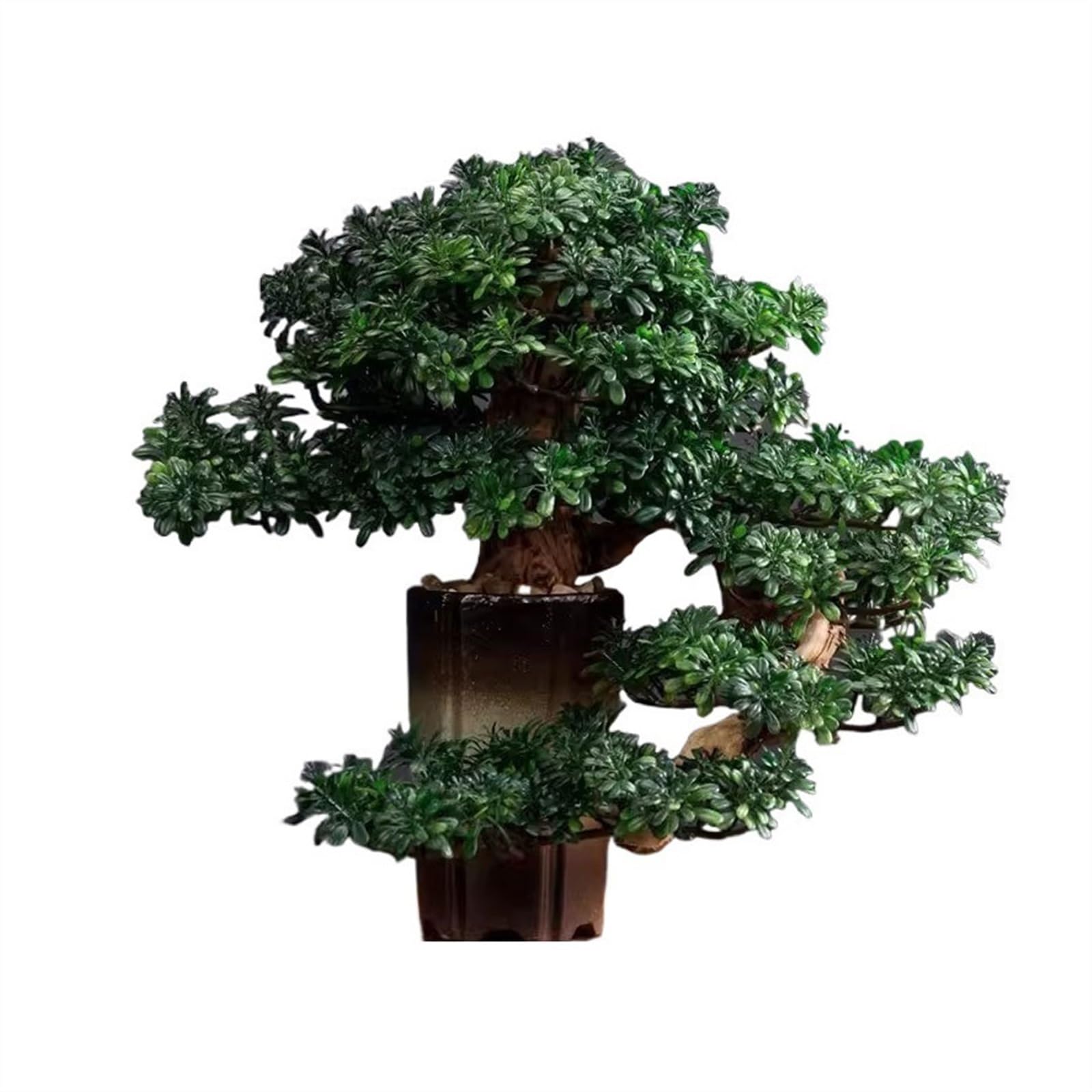 HCZKIUJY Bonsai Indoor Fake Tree Potted Plant Ornaments Desktop Jewelry Entrance Decoration Simulation Tree Decoration High-grade Artificial Bonsai Plant