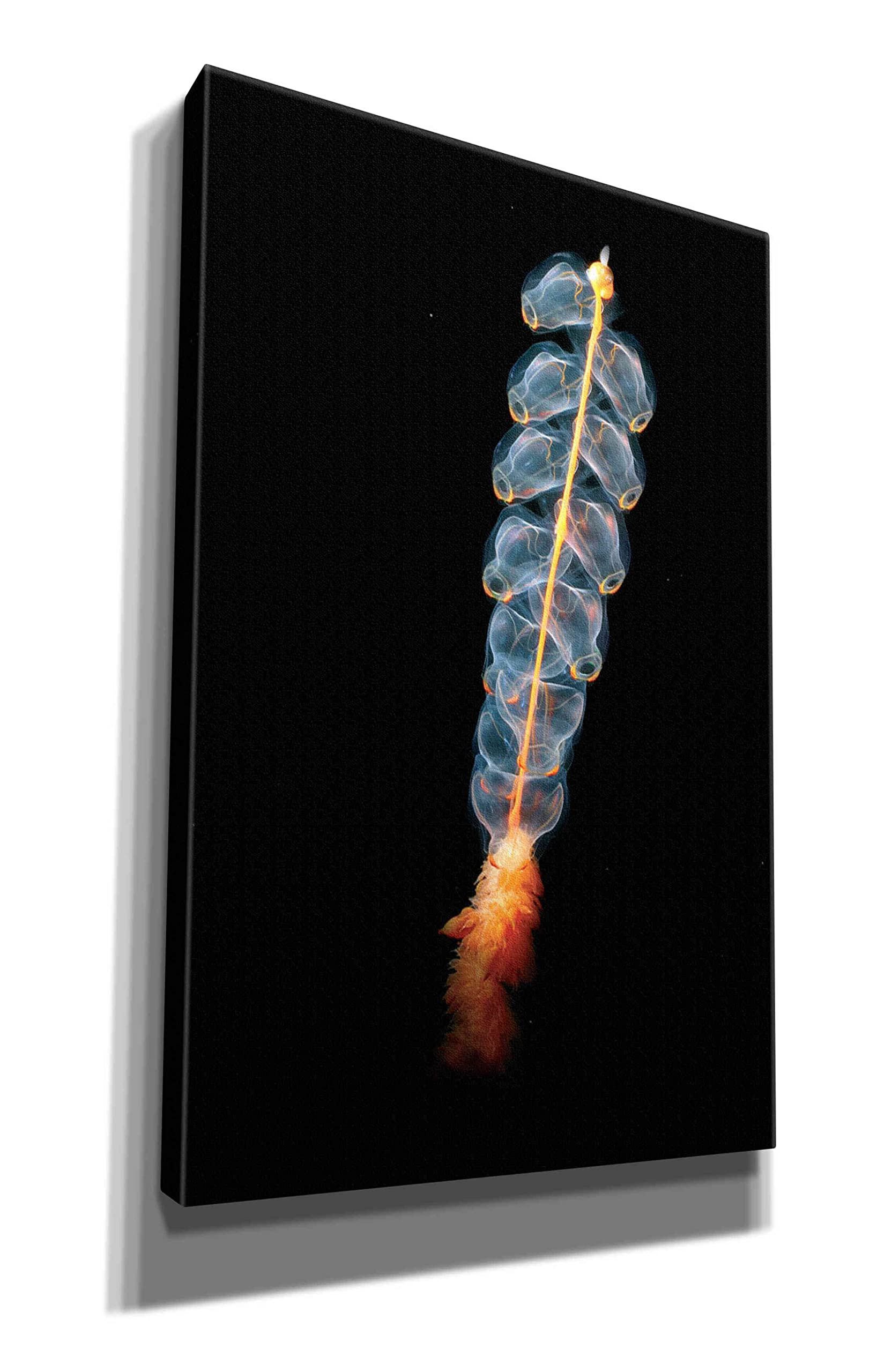 Epic Graffiti 'Deep Sea Rocket' by Epic Portfolio, Giclee Canvas Wall Art, 26