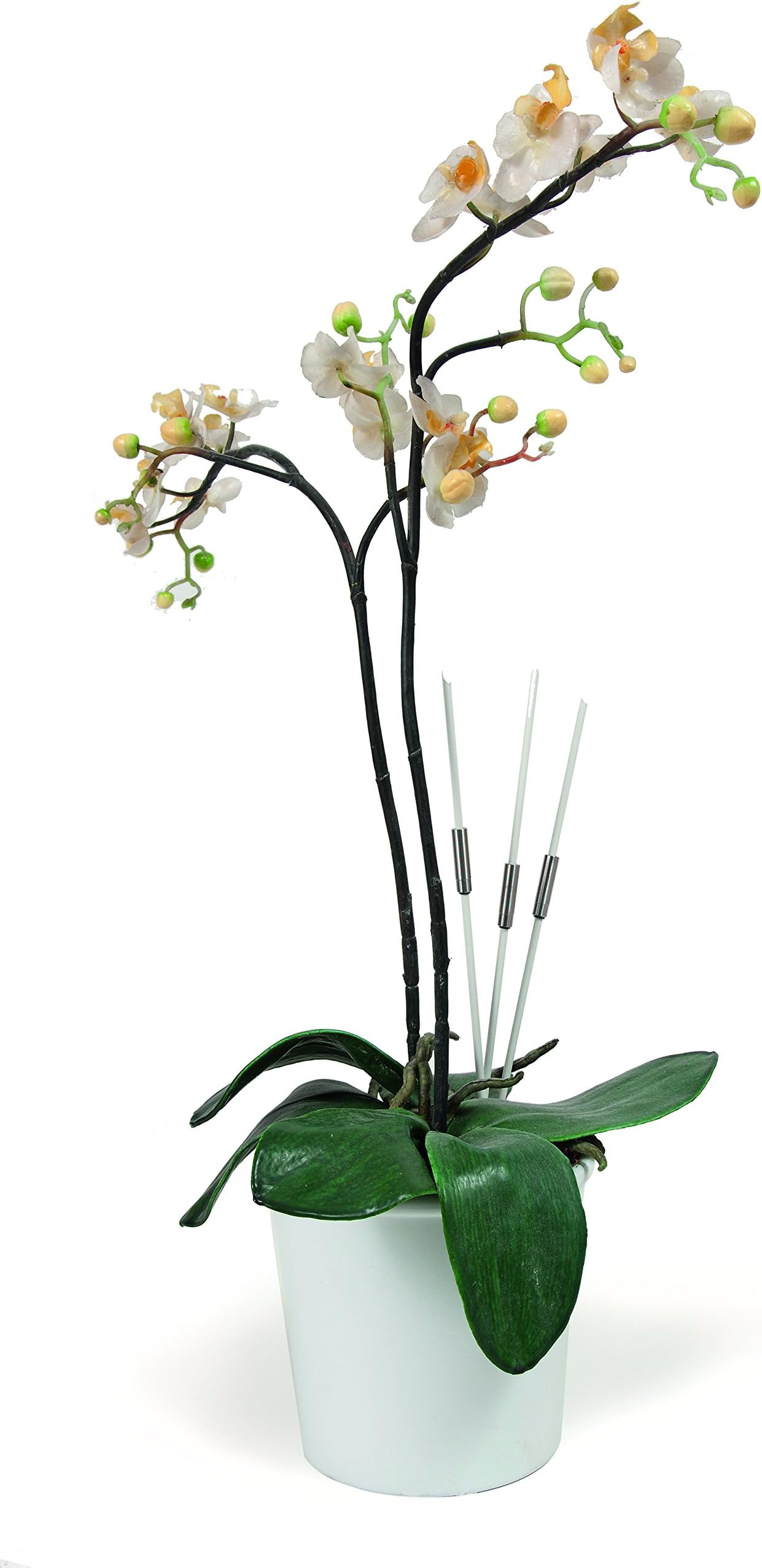 Zielonka Zilostick Set of 3 Pieces-White Colour, One Size