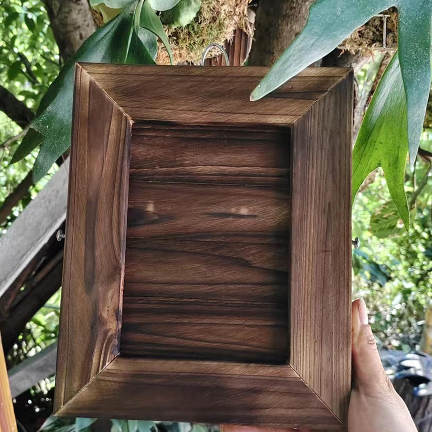 Staghorn Fern Mounting Kit - Wooden Wall Hanging Planter for Orchids,Vertical Garden & Climbing Plants with Decorative Outdoor Frame,Plant Holder Board & Wall Decor