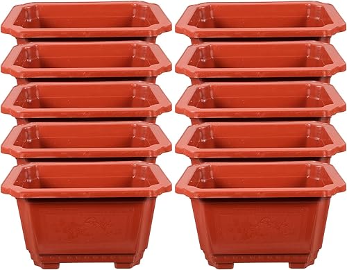 Miniatura 9 de ERINGOGO 10 macetas de entrenamiento para bonsái, 10 plantas bonsái, maceta rectangular de plástico con agujeros de drenaje, maceta grande y